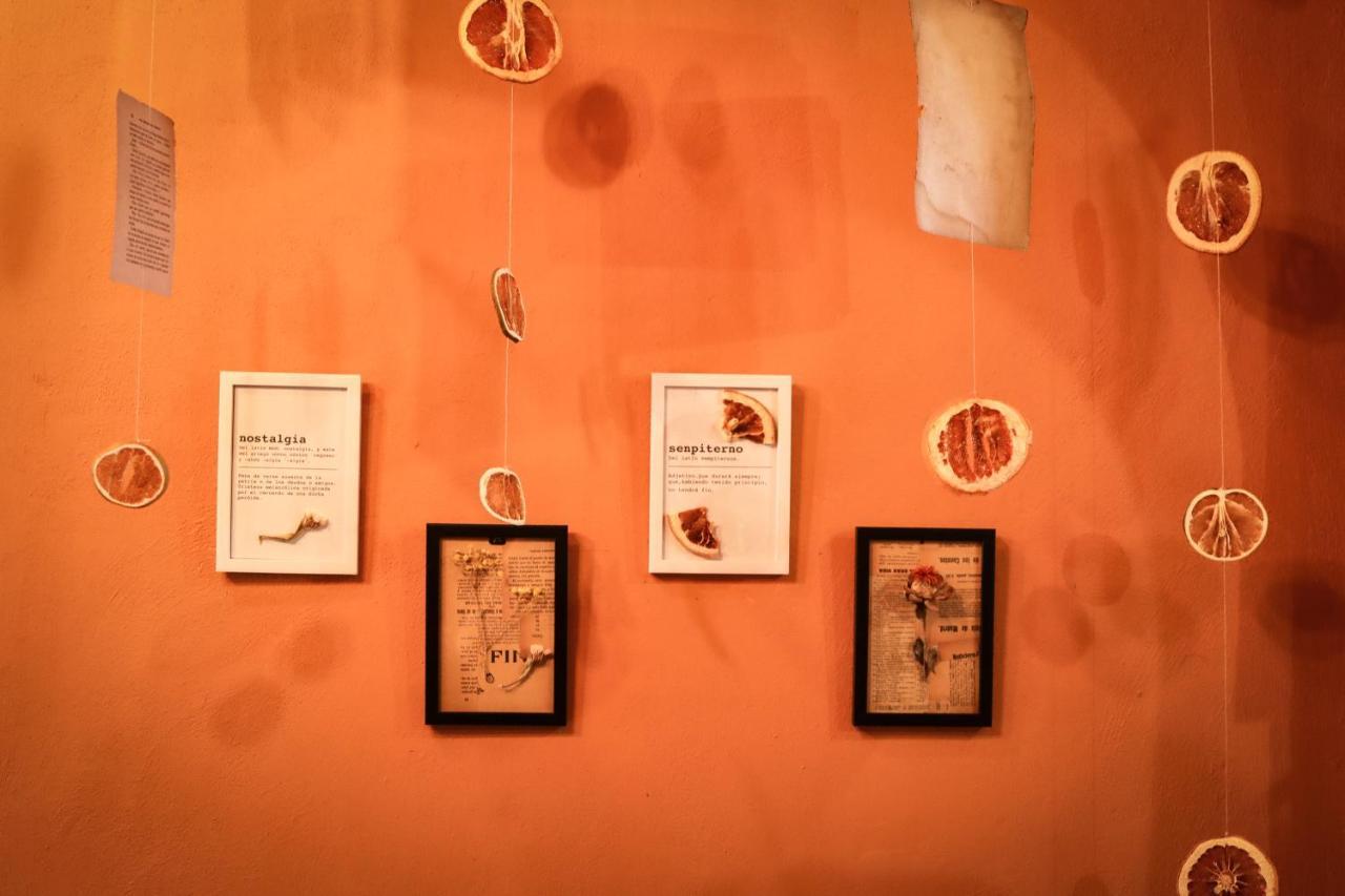Kuka Y Letras Bed & Breakfast Mérida Dış mekan fotoğraf