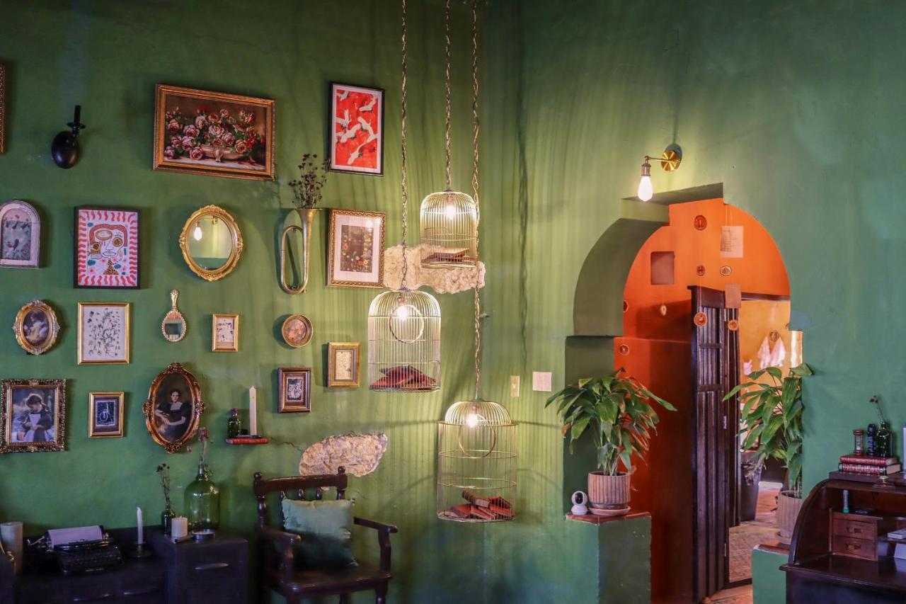 Kuka Y Letras Bed & Breakfast Mérida Dış mekan fotoğraf